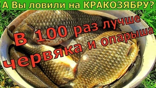 КАРАЗЯБРА- 4 ГОДА ОТ НЕЁ ДУРЕЕТ ВСЯ РЫБА / Супер рыболовная насадка для карася и карпа весной
