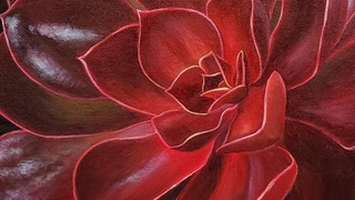 Red Succulent Acrylic Painting LIVE Tutorial