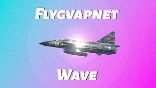 F L Y G V A P N E T | Swedish Air Force Wave
