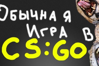ОБЫЧНАЯ ИГРА В CS:GO | Странный формат
