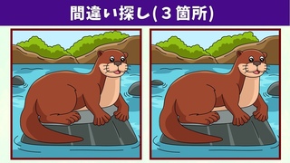 【間違い探し】簡単・気軽の脳の活性化！左右の絵を見比べてまちがい