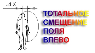 Тотальное смещение поля ВЛЕВО: обидчивость, ранимость, злость. Целитель Виктор Руденко