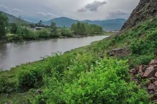 Абаза