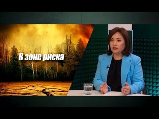 Устойчивый тренд к экологическому кризису