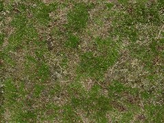 PBR Grass & Soil A18