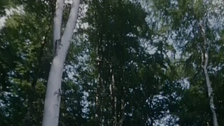 Не бойся (1990)