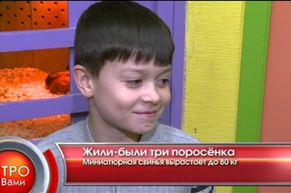Жили-были три поросёнка - “Утро с Вами“