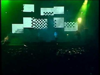 The Forest - Magic Mushrooms / LIVE
