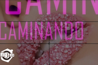 . FEAT. OMER FERNANDEZ - Caminando
