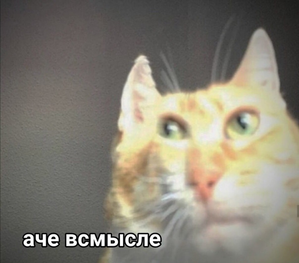 3zP1XPZ28Bo.jpg