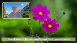 1_3 Светильник Духа и защита дипломов