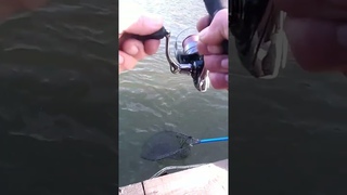 ХОРОША “КОТЛЕТИНА“🎣💪