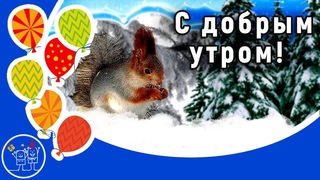 ДОБРОЕ ЗИМНЕЕ УТРО! Желаю доброго зимнего утра и хорошего дня! Видео открытка С ДОБРЫМ ЗИМНИМ УТРОМ.