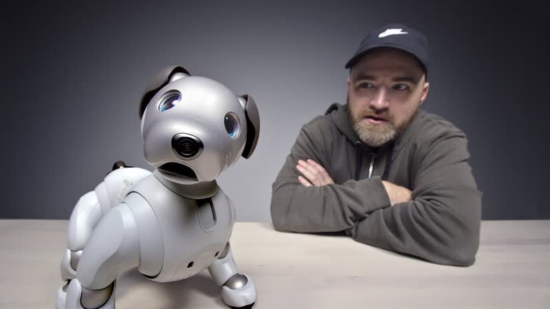 The 3000 Sony Aibo Robot