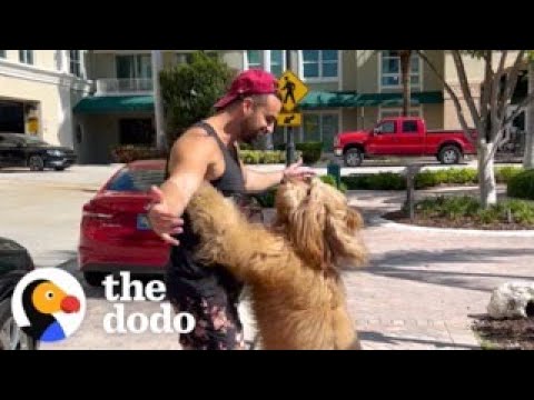 Guy Decides His Dog Will Be His Plus One Everywhere He Goes, The