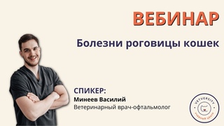 Вебинар “Болезни роговицы кошек“
