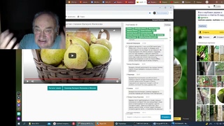 Вебинар 153 Ответы на вопросы в чате ч 2