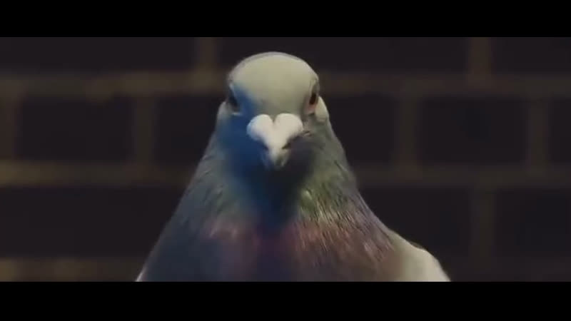 Видео от James