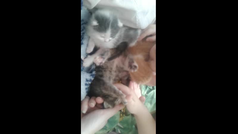 Видео от Ани