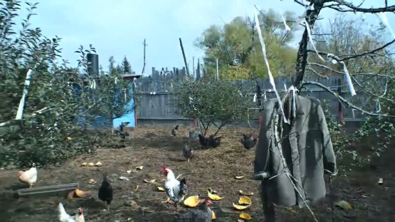 Зола и куры. Делаю коробки для золы, которые поставлю в