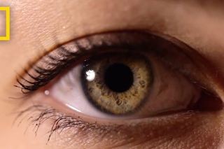 Eyes: The Windows to Your Health