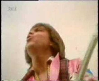 David Cassidy - Rock Me Baby