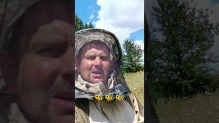 Пчлки просто супер  #рекомендации #shorts