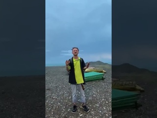 Гамбит чеширского кота. Манифест