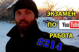 Экзамен по YouTube. Работа. 214 день в деревне
