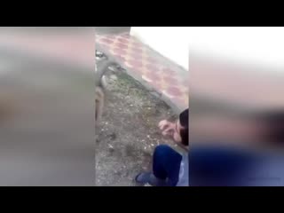 Кайфарик (480p).mp4