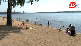 Череповчане массово спасаются от жары на городских пляжах