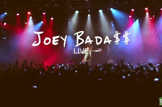 Joey Badass - LIVE NYC 2013 [Rhymes & Punches]