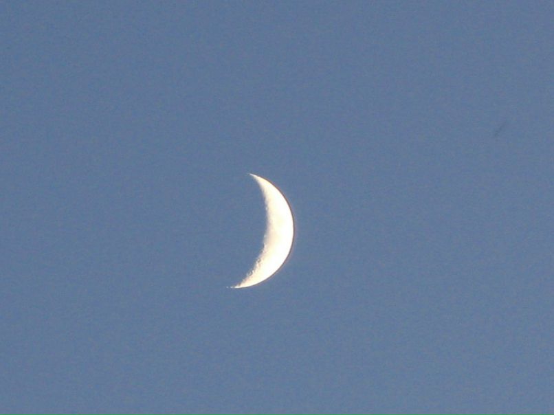 Анастасия Гузенкова | Москва