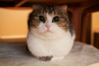 №11 Миха Неважнов : профиль, фото, статус - ВКонтакте