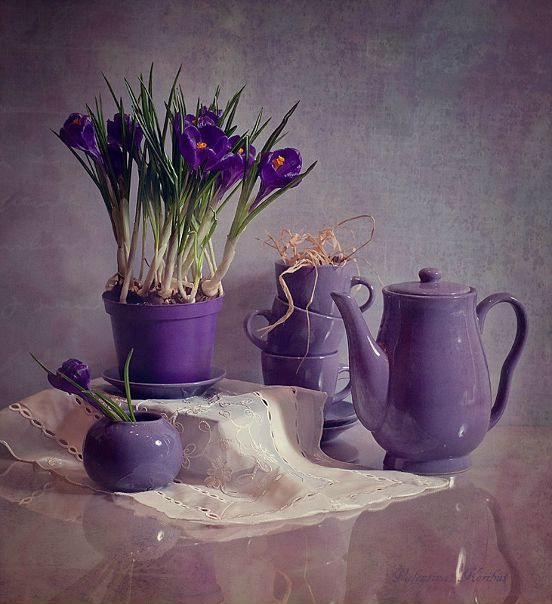 №166, Marta Kokhanevych, Львов №166, Marta Kokhanevych, Львов