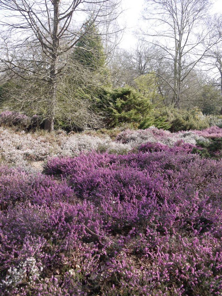 Надежда Иванова | Санкт-Петербург