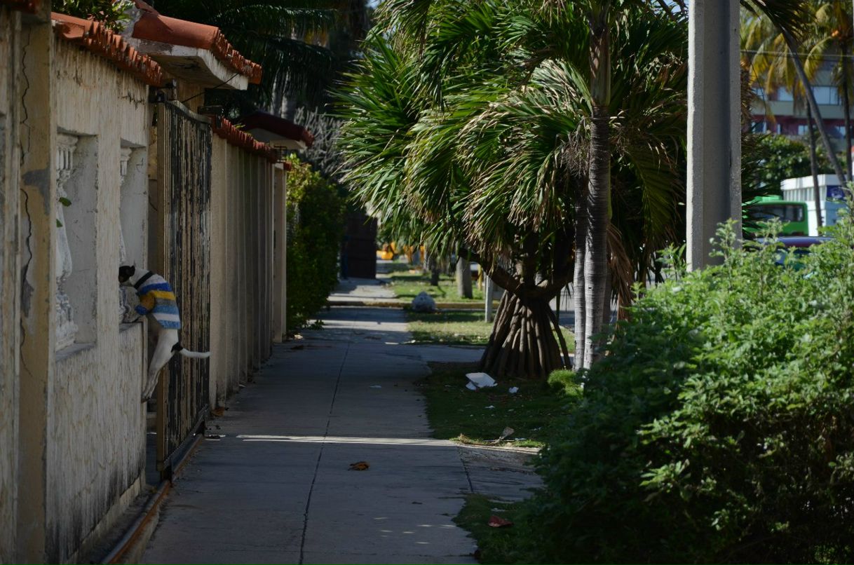 Сергей Желнинский Александрович | Воронеж