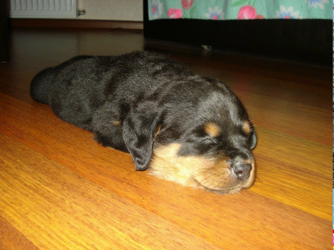 Сергей Михайлюк | Киев