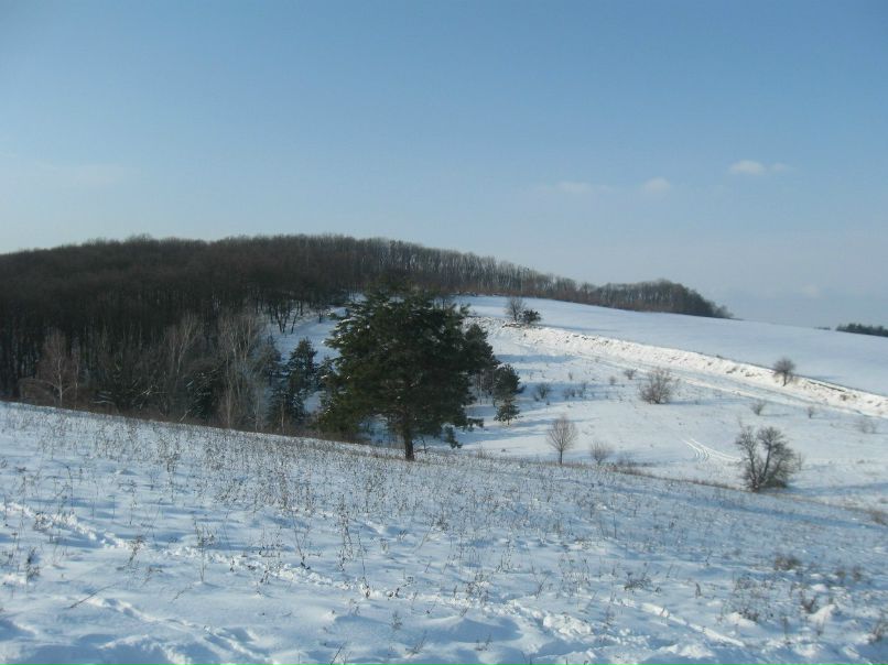 Татьяна Мудрицкая | Черкассы