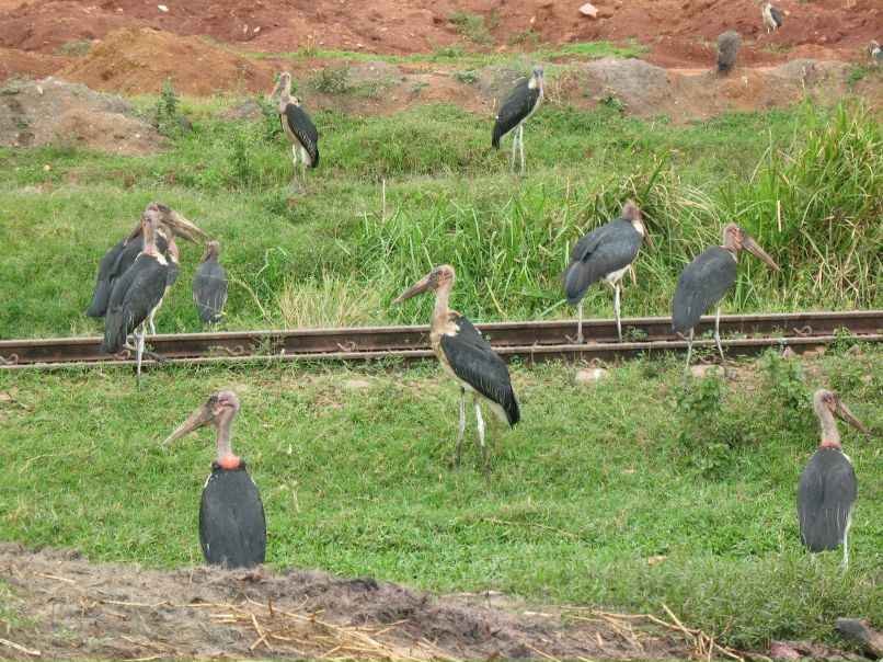 Andre Pablo | Санкт-Петербург