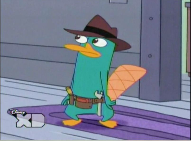 Саша Скорнякова | Пиндуши