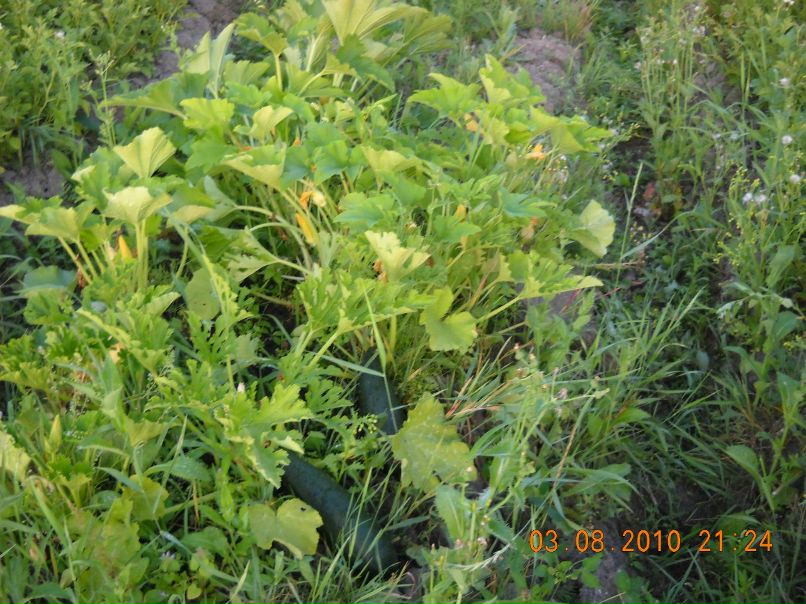 Татьяна Казанцева | Санкт-Петербург