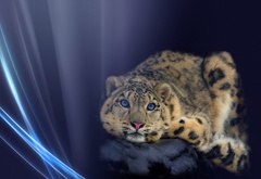 Марина Маслюченко | Киев