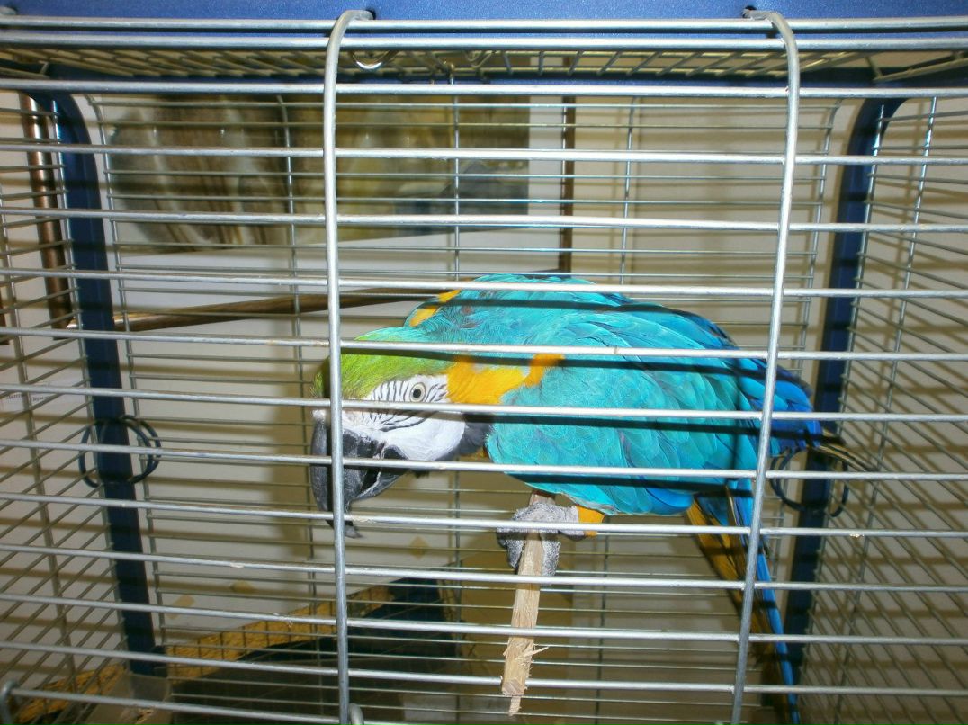 Елена Назарова | Псков