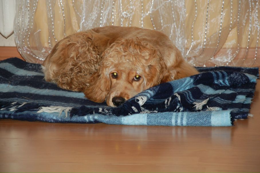 №2, Екатерина Татиевская, Днепр (Днепропетровск) №2, Екатерина Татиевская, Днепр (Днепропетровск)