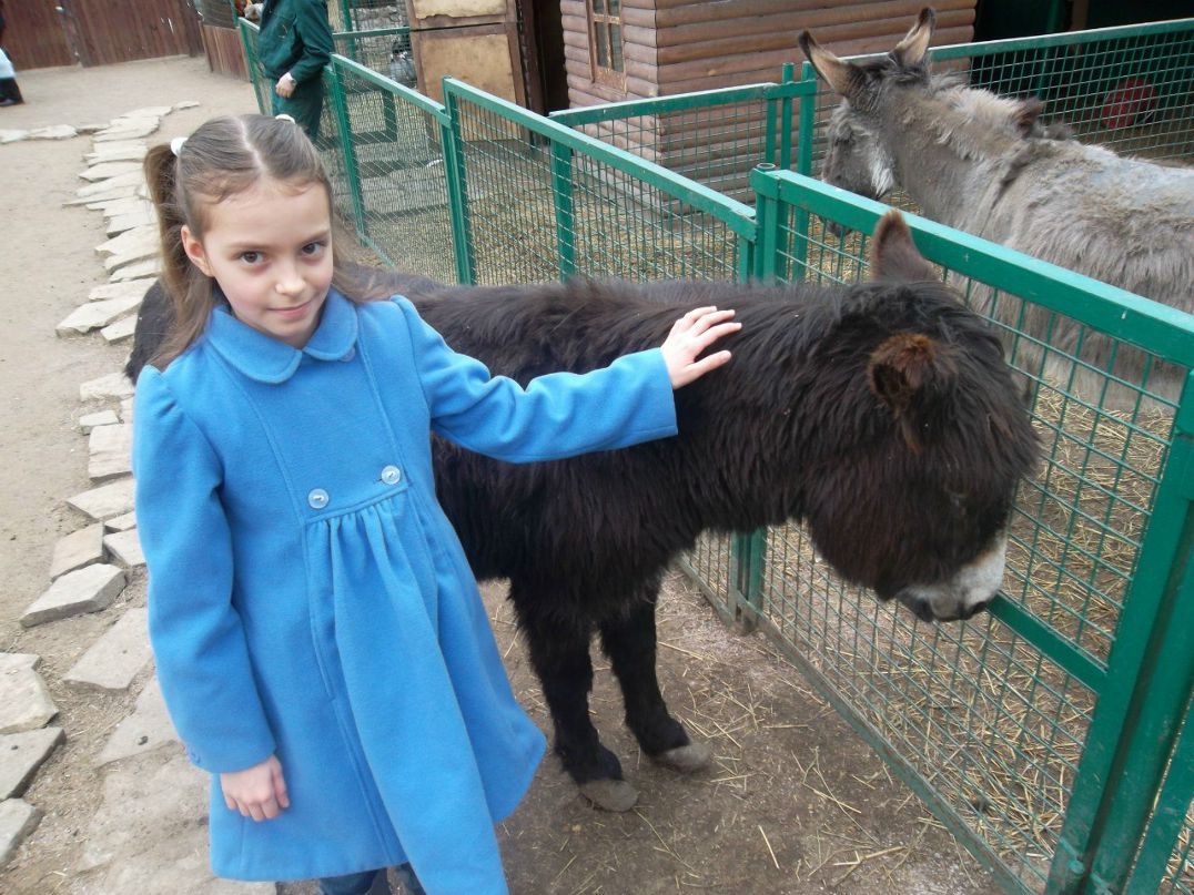 Татьяна Лобойко | Киев