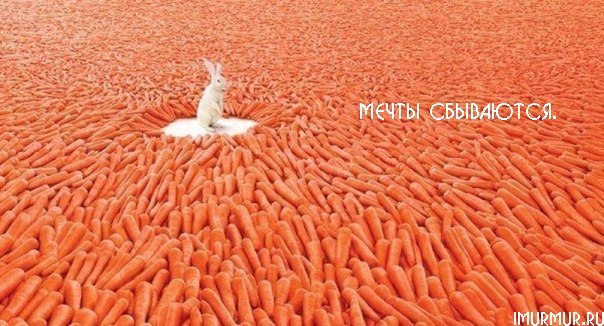 Виталий Цыпронов | Молодечно