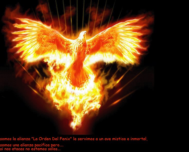 Лёха Сорокин | Тольятти