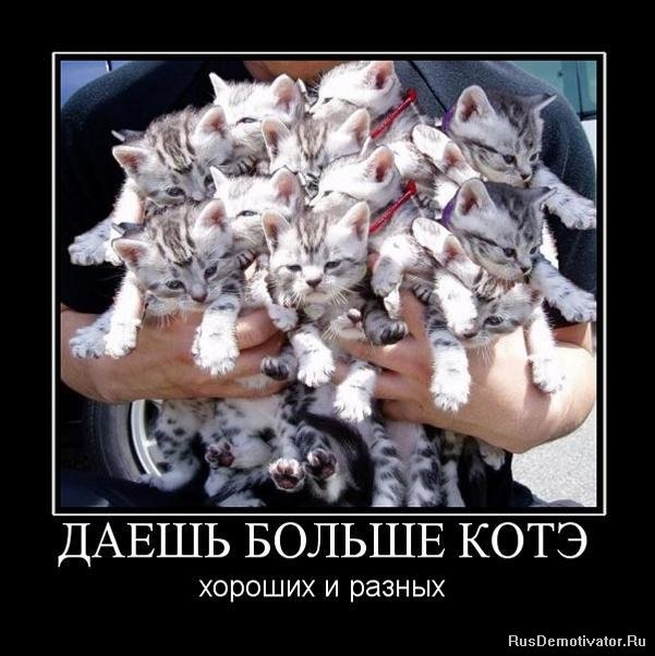 №39, Анна Дик, 31 год, Нижний Тагил №39, Анна Дик, 31 год, Нижний Тагил