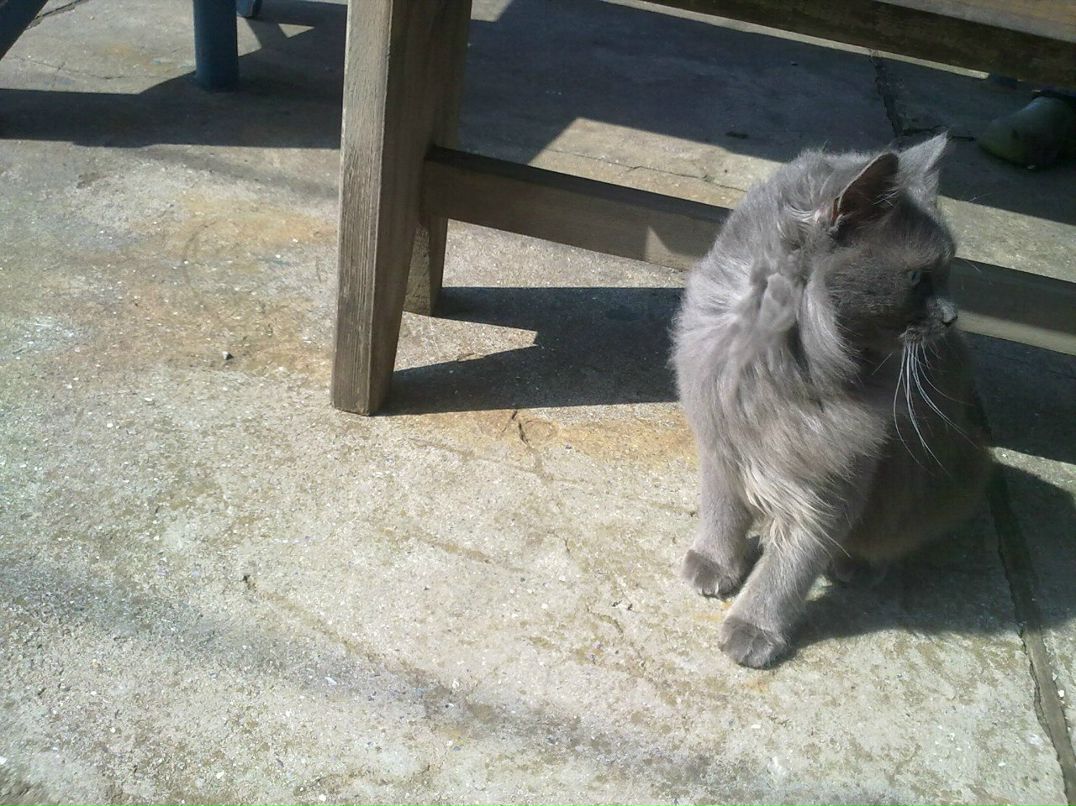 Максим Дешук | Одесса